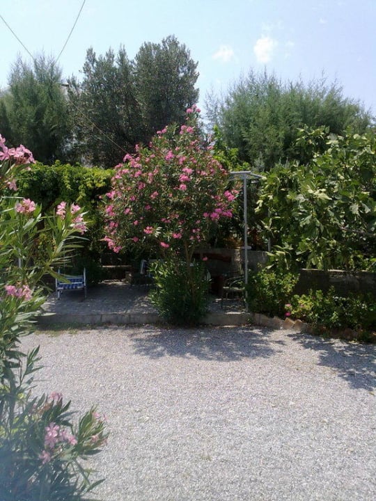 Überdachte Terrasse Tselios Apartments