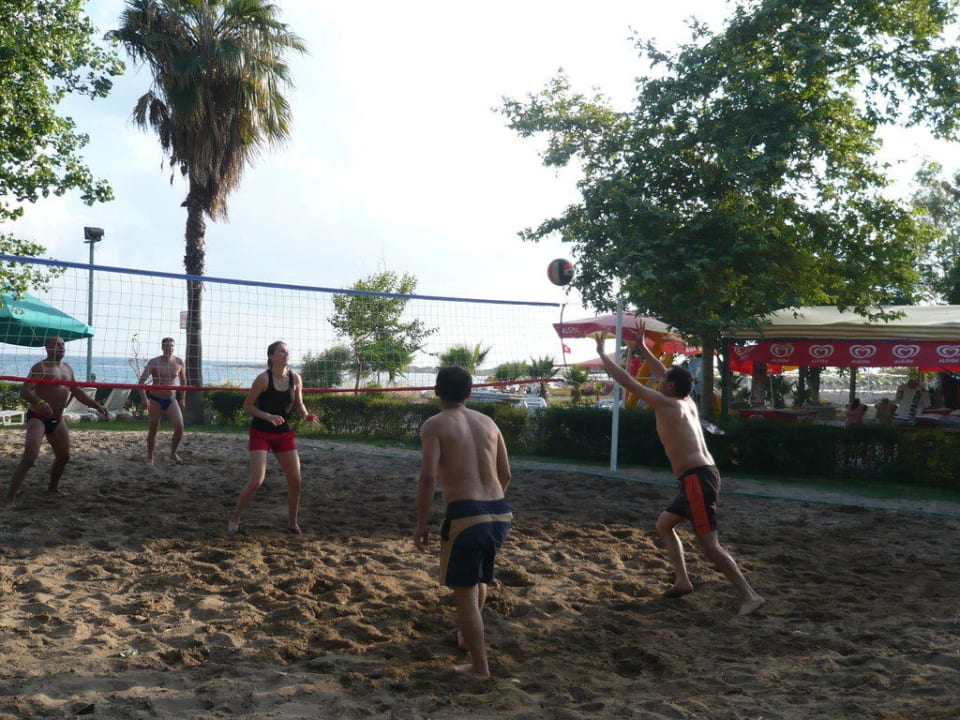 Volleyball am Abend Hotel Gardenia Beach