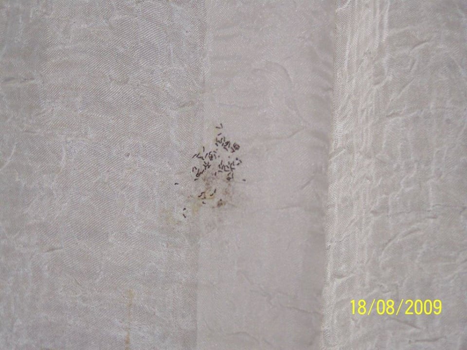 Gardinen lebt es oder lebt es nicht Club Turtas Beach Hotel