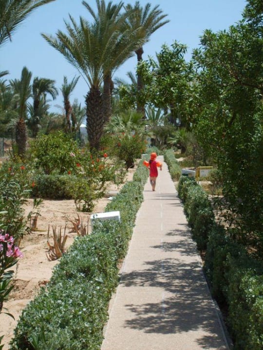 Gartenanlage Hotel Sangho Club Zarzis