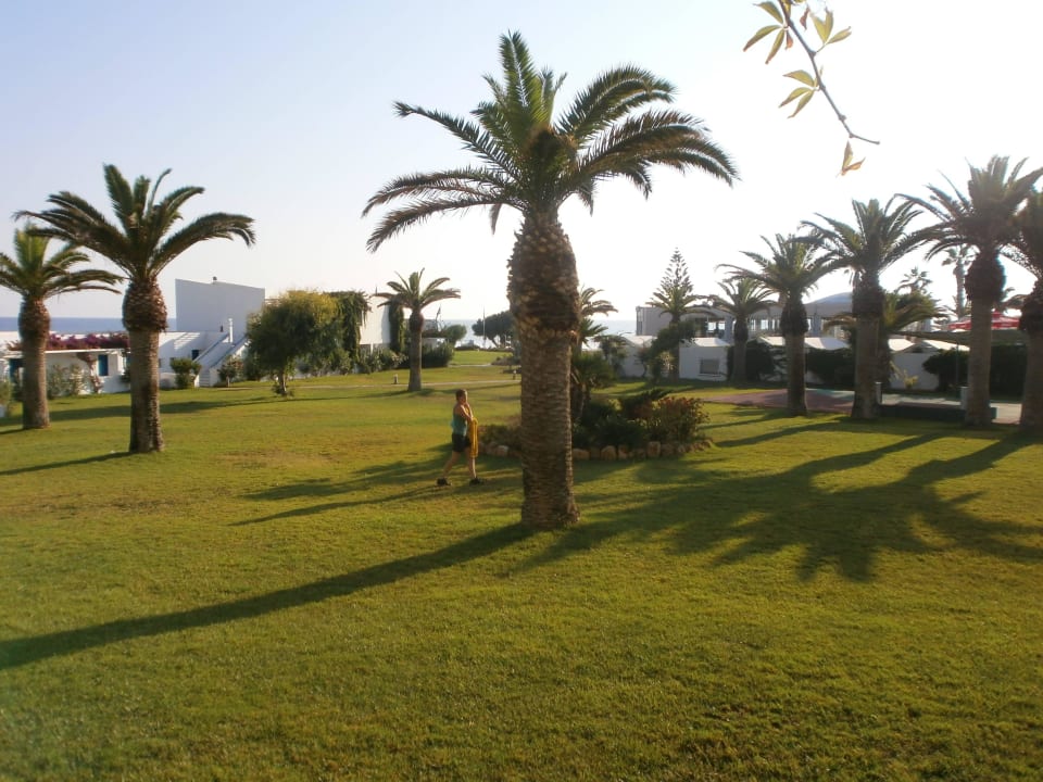 Garten Lyttos Beach Hotel