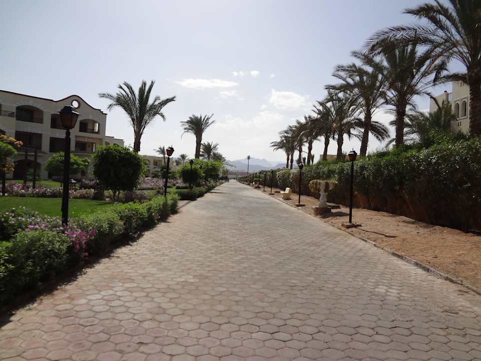 На окраине отеля Regency Plaza Aqua Park & Spa