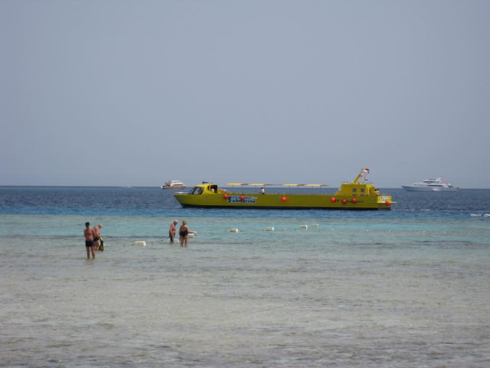 Schade dass es immer noch keinen Steg gibt. Grand Makadi