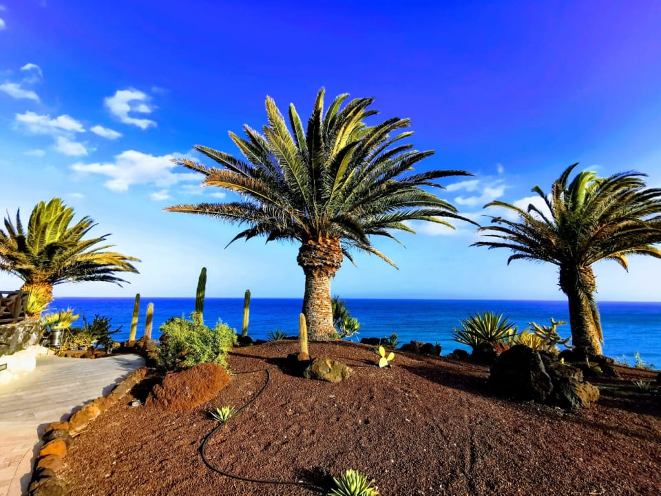Gartenanlage R2 Pajara Beach