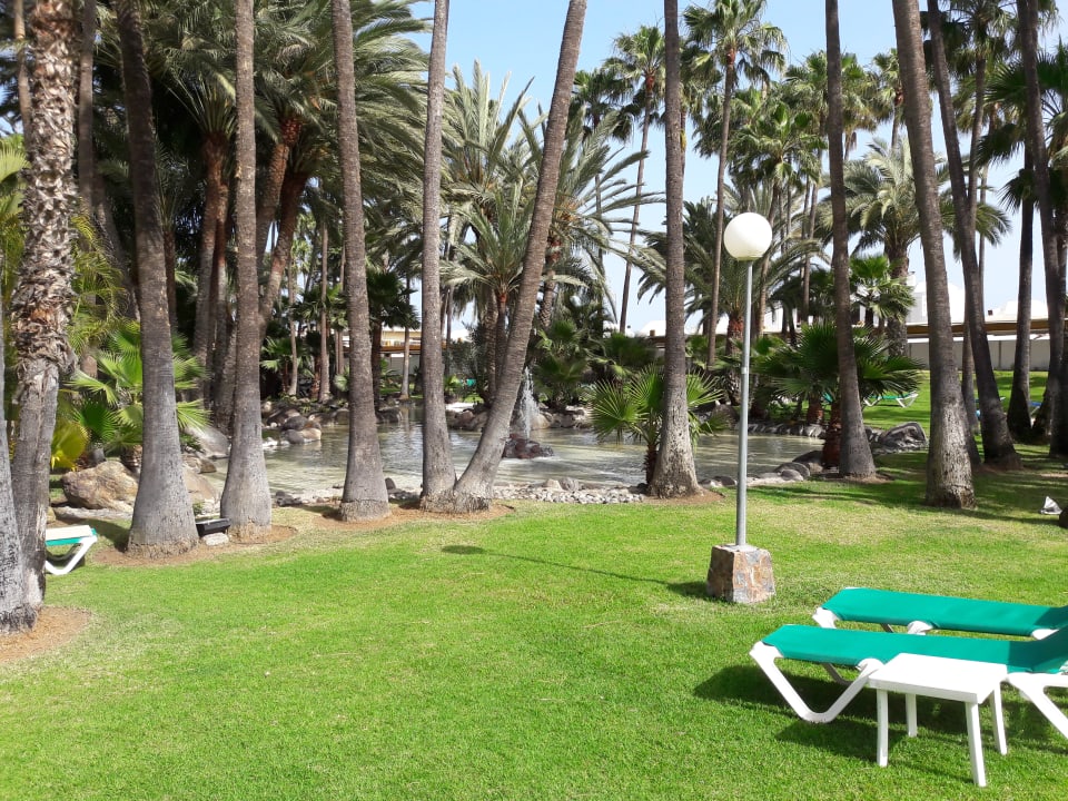 Gartenanlage Hotel Riu Palace Oasis