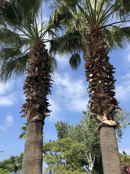 Außenansicht Labranda Alantur Resort