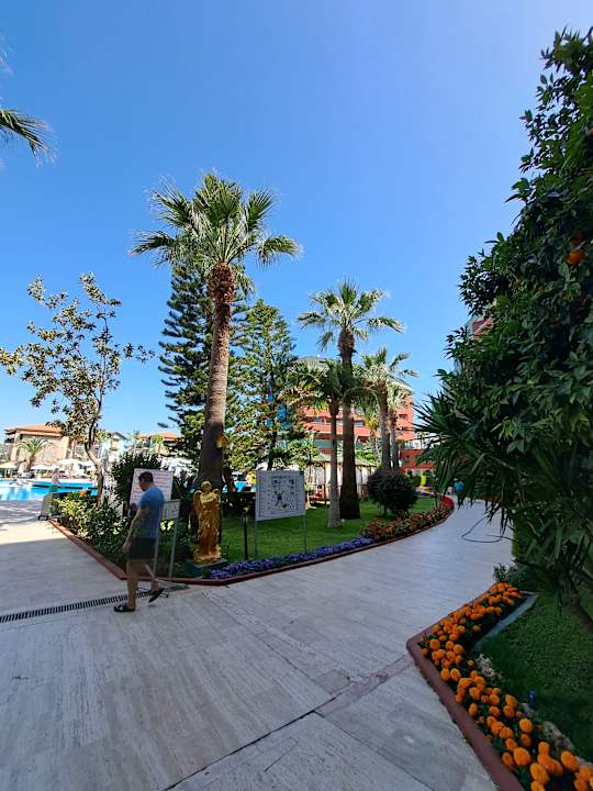 Pool Delphin Deluxe Resort