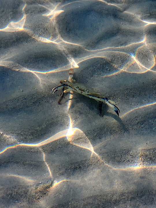 Strand Hotel Riu Palace Tropical Bay