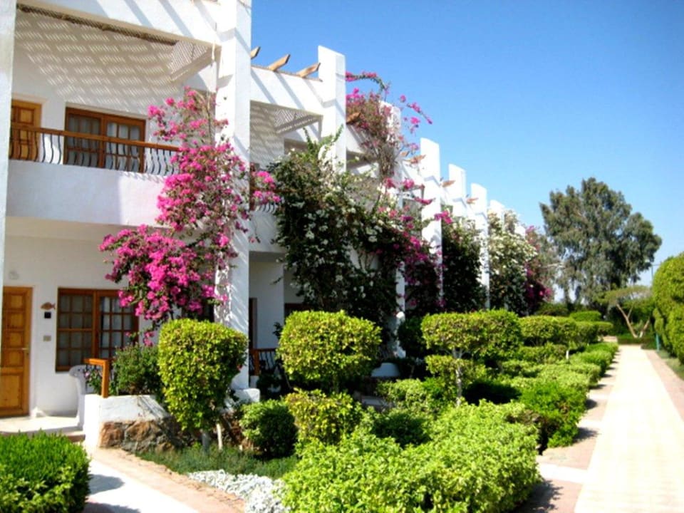 Bungalow Menaville Safaga