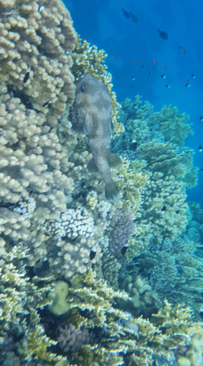 Strand Casa Mare Resort