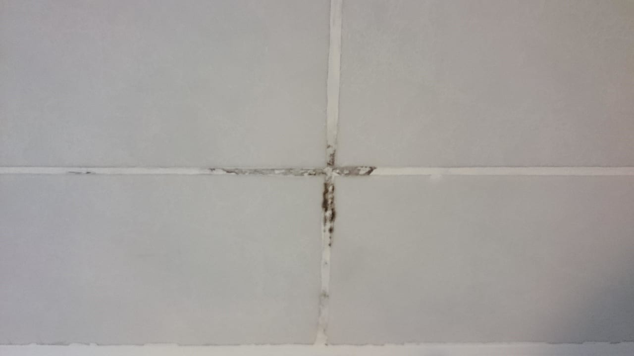 Bad Haupthaus Asteria Collection Side