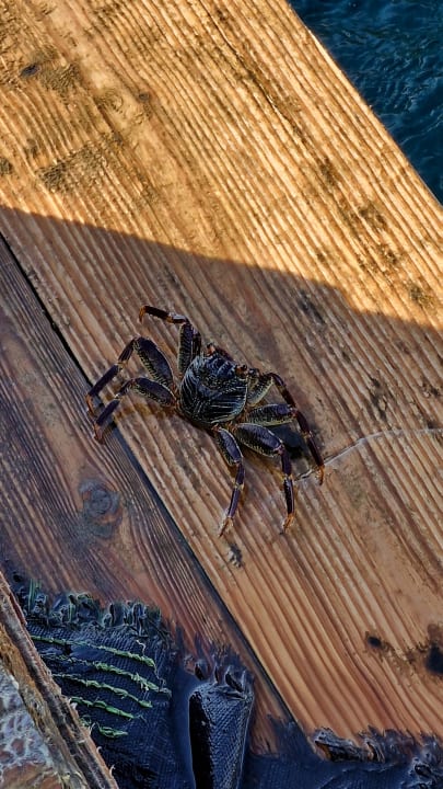 Strand Cleopatra Luxury Resort Makadi Bay