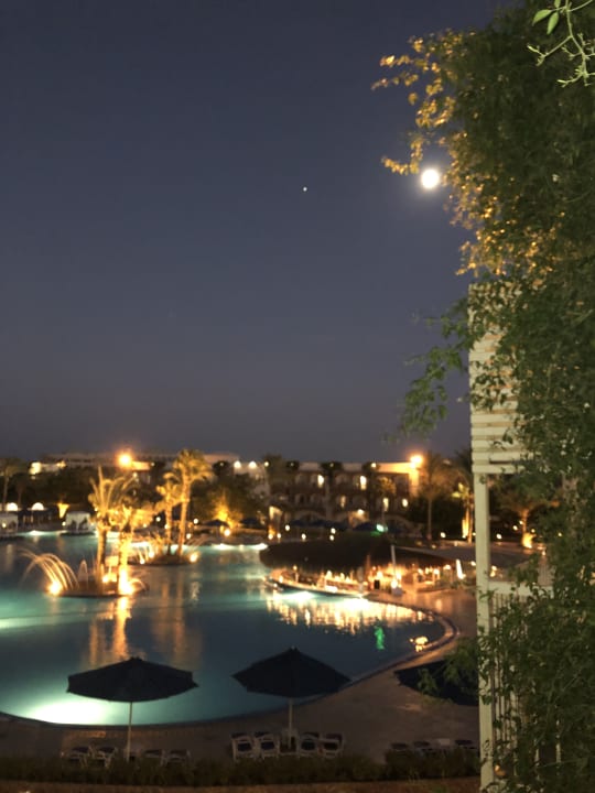 Ausblick Desert Rose