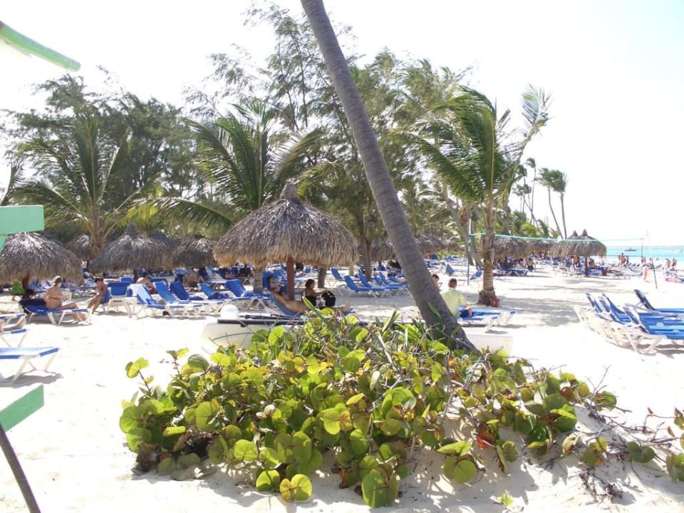 Karibikfeeling Bahia Principe Luxury Esmeralda