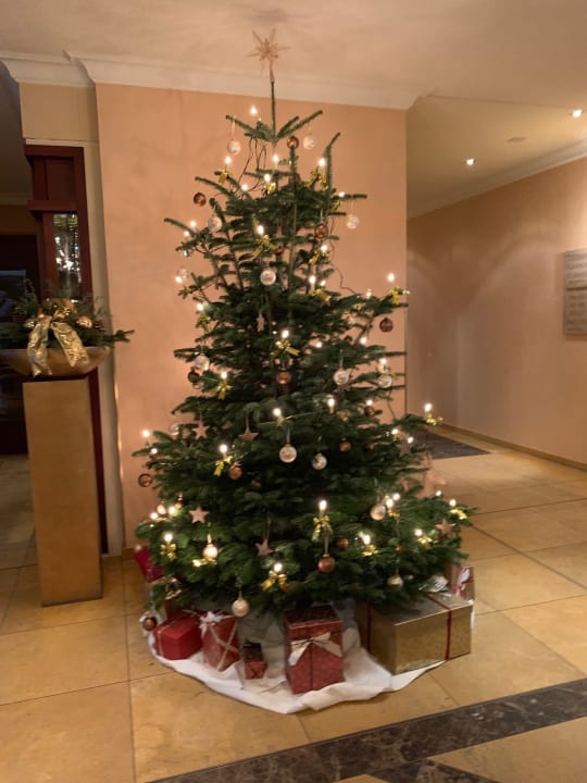 Lobby Hotel Gran Belveder