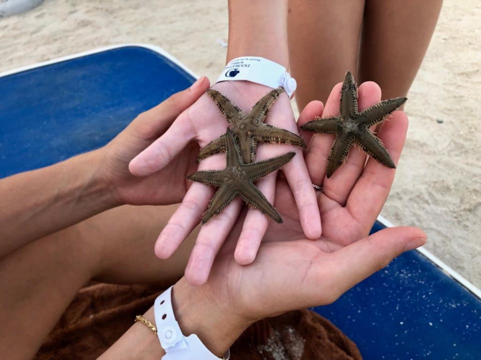 Strand DoubleTree by Hilton Resort & Spa Marjan Island