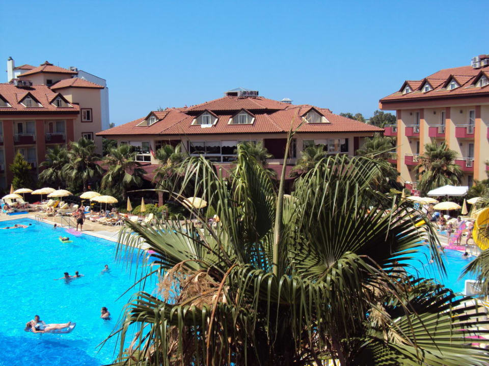 Balkonaussicht Hotel Orfeus Park