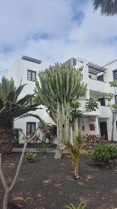 Gartenanlage allsun App.-Hotel Albatros