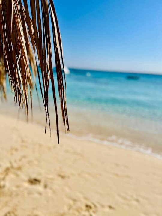 Strand Pickalbatros White Beach Resort - Hurghada
