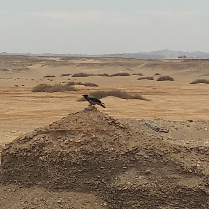 Außenansicht Novotel Marsa Alam Beach Resort