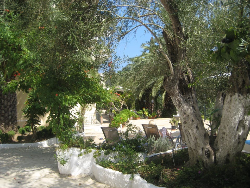 Eingang zur Rezeption/Frühstücksterrasse Hotel Helios Splendid