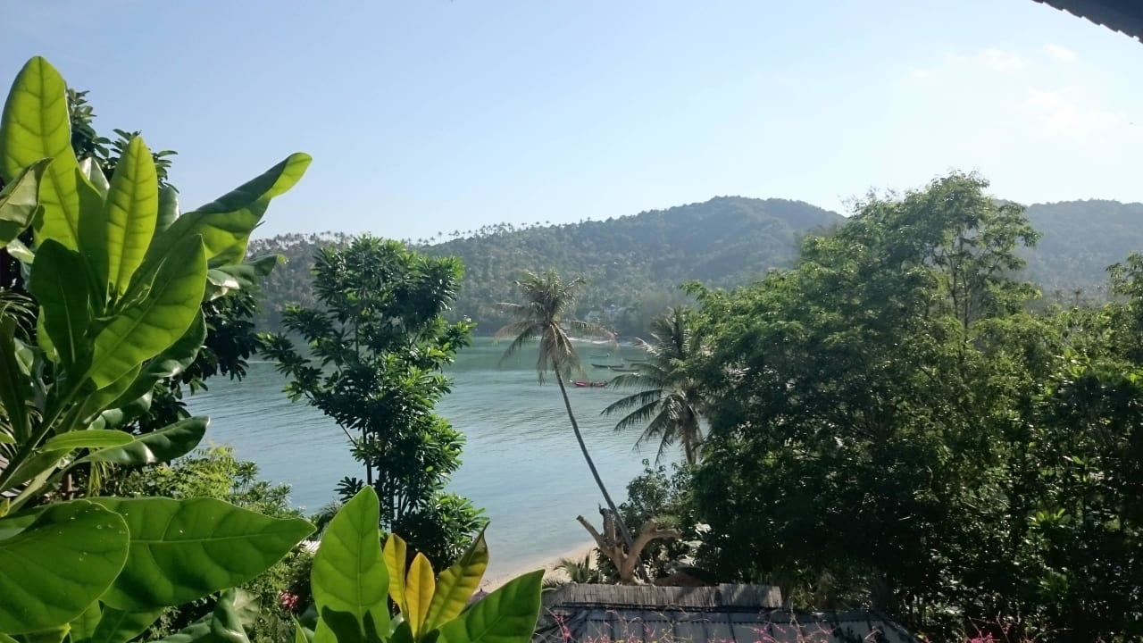 Ausblick von Bungalow 4 Cookies Salad Resort