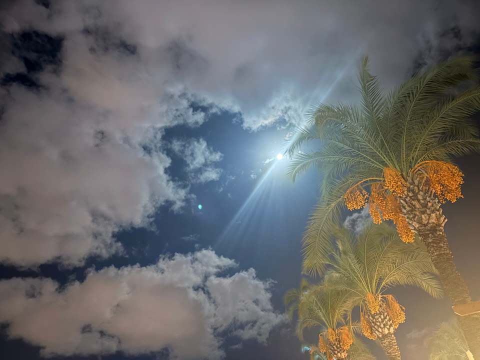 Sonstiges Sunis Kumköy Beach Resort Hotel & Spa