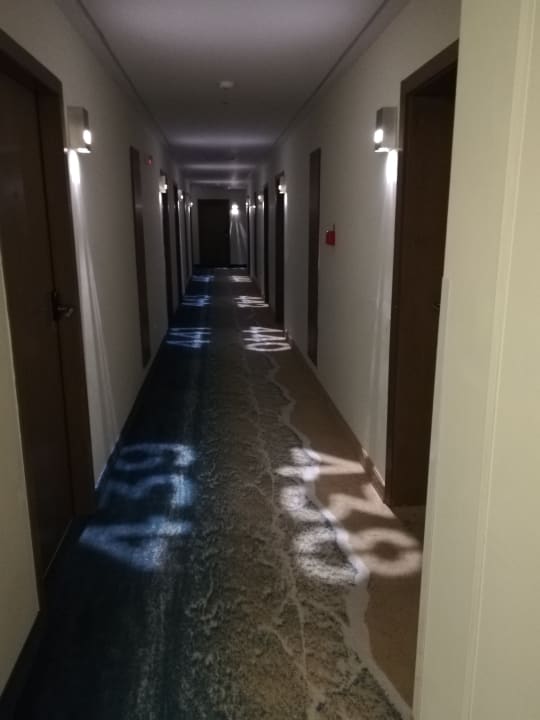 Zimmer Sentido Marea