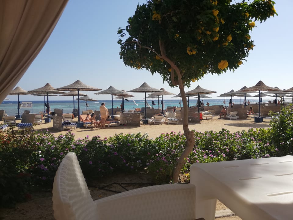 Strand Fantazia Resort Marsa Alam