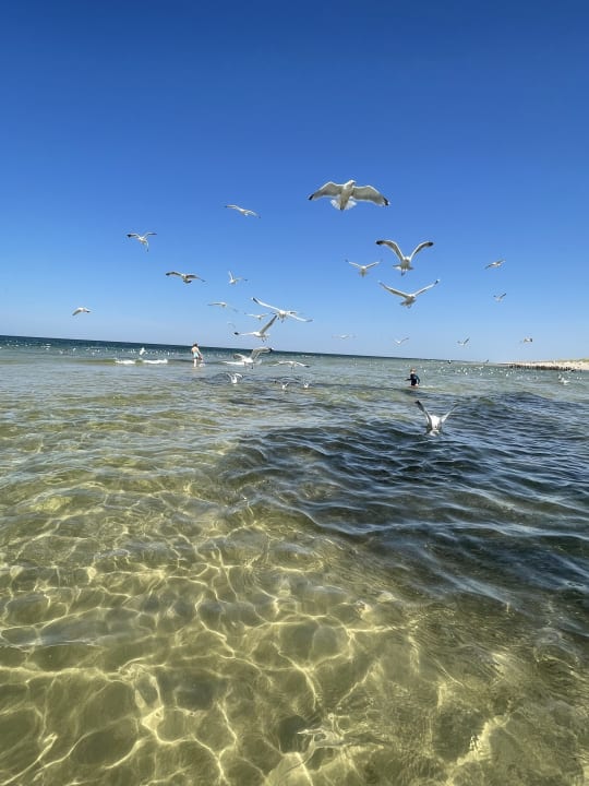 Strand Dünenhotel Alt-Rantum