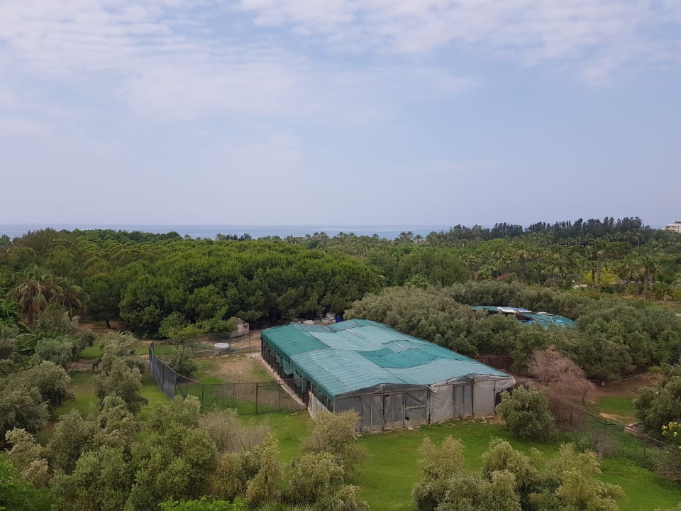 Ausblick Club Grand Side