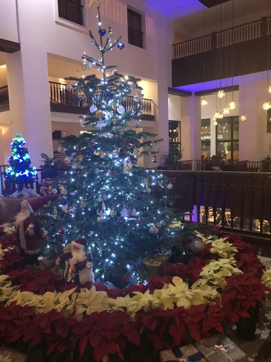 Lobby Steigenberger Aqua Magic