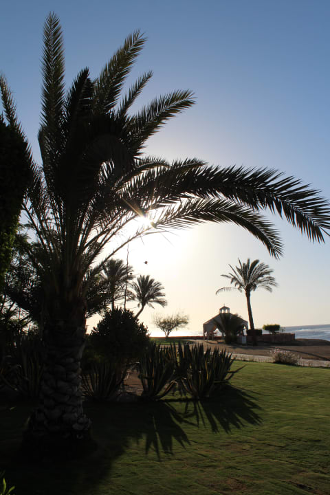 Ausblick Steigenberger Coraya Beach - Adults only