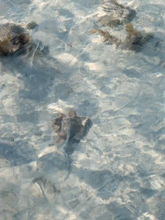 Strand Casa Mare Resort