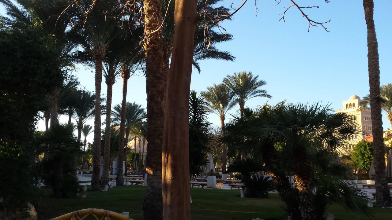 Vom Sunset Makadi Palace