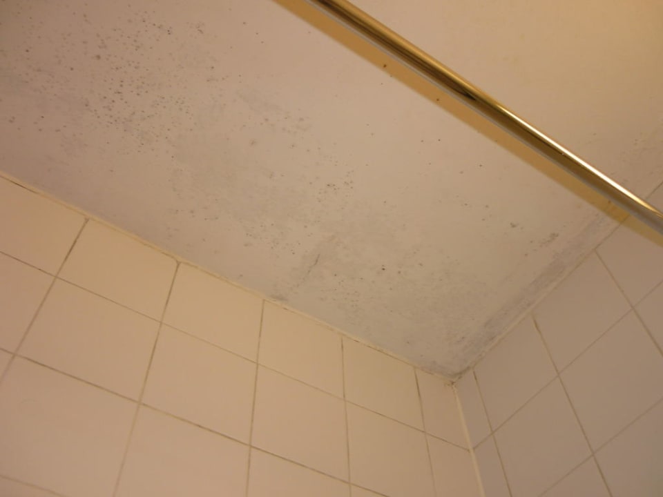 Decke im Bad mit Schimmel Hotel Royal National