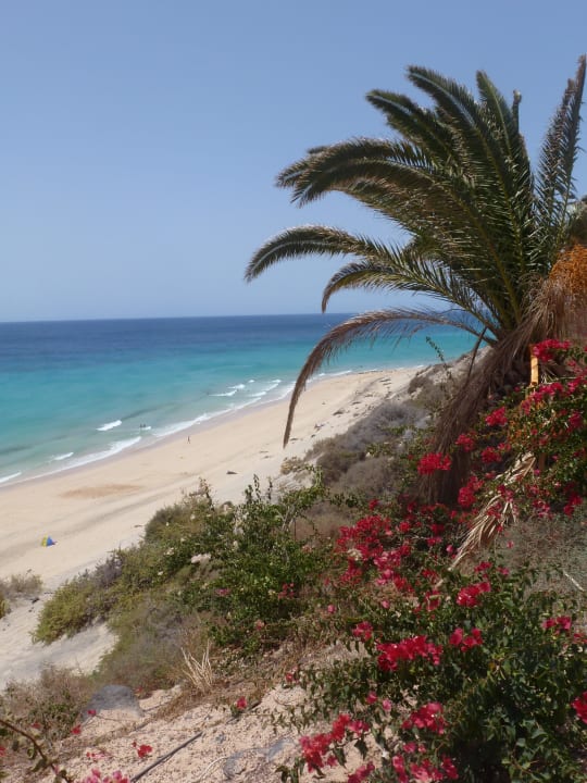 Blick zum Strand SBH Club Paraiso Playa