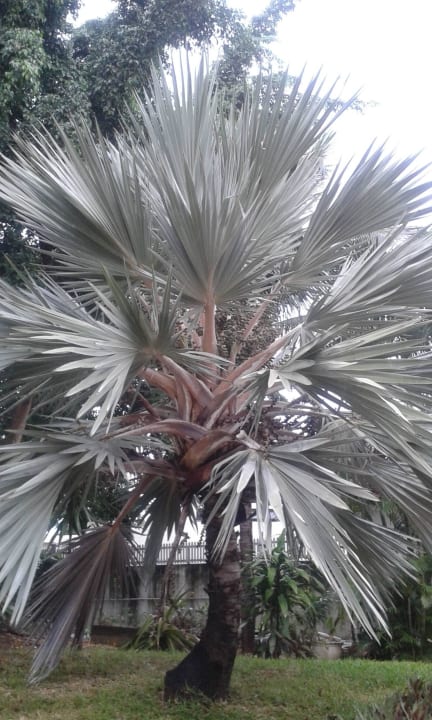 Schöne Beume Hotel Villas Caroline