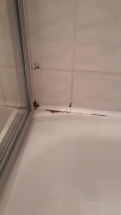 Dusche / Duschwanne Strandhotel Ahlbeck