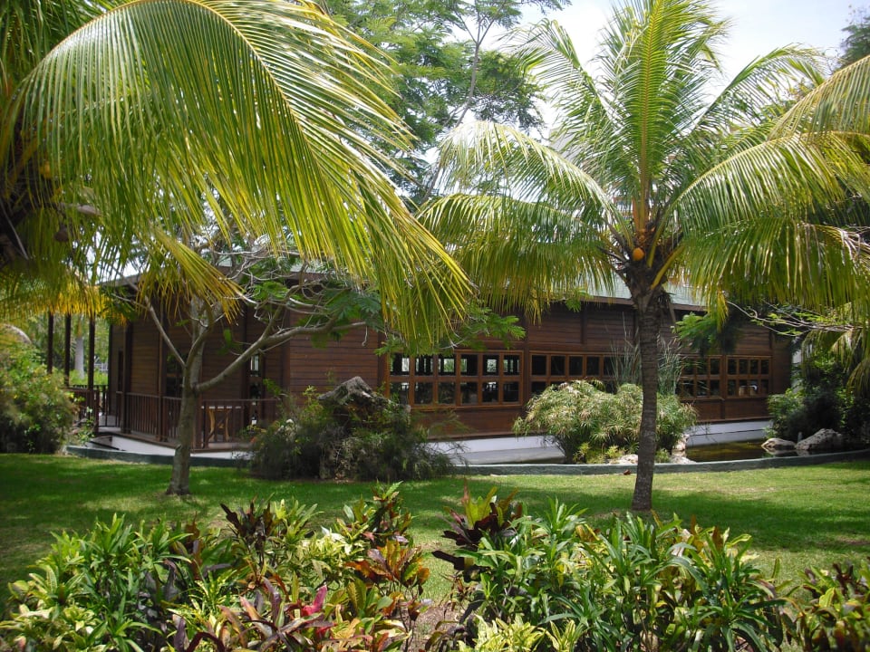 Restaurant Palma Real Blau varadero - Adults only