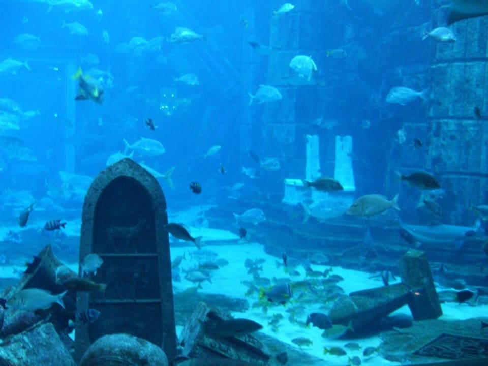 Aquarium im Hotel Atlantis, The Palm
