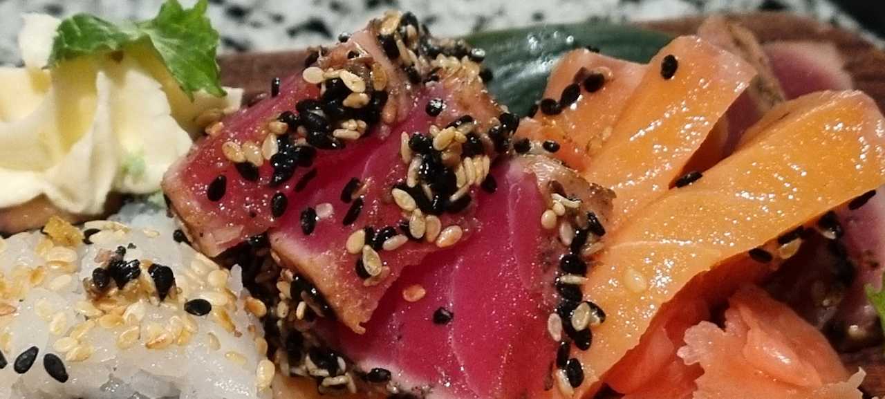 Gastro JAZ Elite Asteria