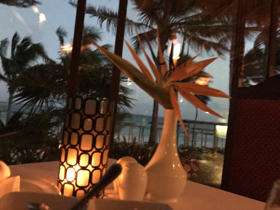 Gastro Akumal Bay Beach & Wellness Resort