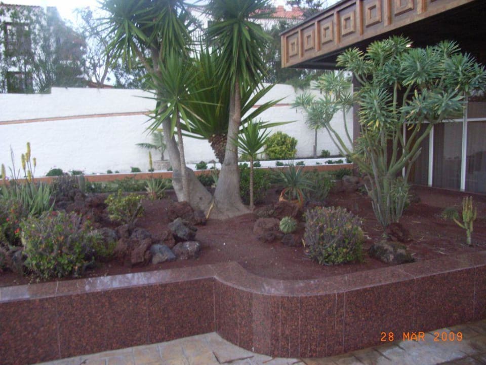 Eingangsbereich BLUESEA Complejo Puerto Resort (Canarife y Bonanza Palace))