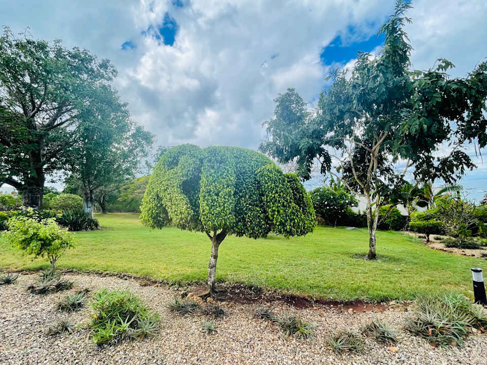 Gartenanlage Hotel Riu Palace Zanzibar