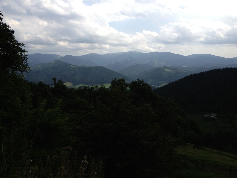 Bienenalm LUXGUT - OLIVIA