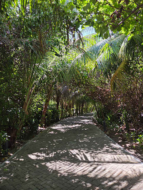 Gartenanlage Hotel Riu Atoll