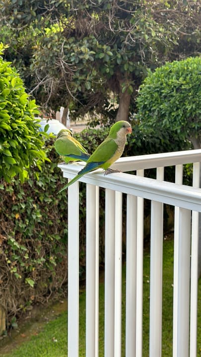 Zimmer Hotel Riu Nautilus - Adults only