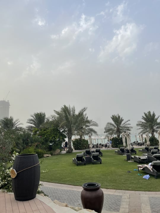 Gartenanlage The Westin Dubai Mina Seyahi Beach Resort & Marina