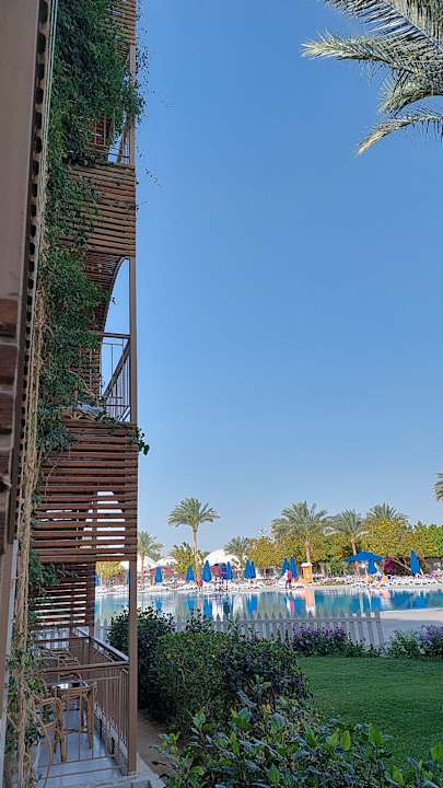 Ausblick Desert Rose